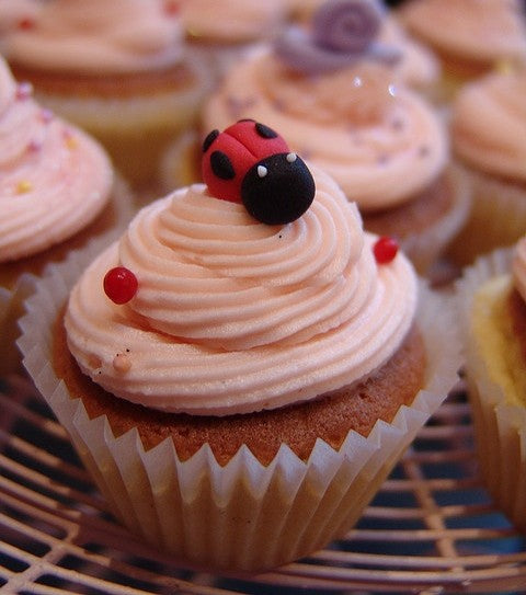 Lady Bug Cat Cup Cakes V4