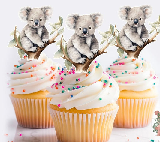 Koala Cup Cakes V2