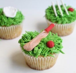Cricket Cup Cakes V4