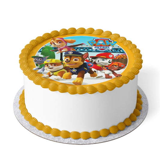 Paw Patrol Cake V10