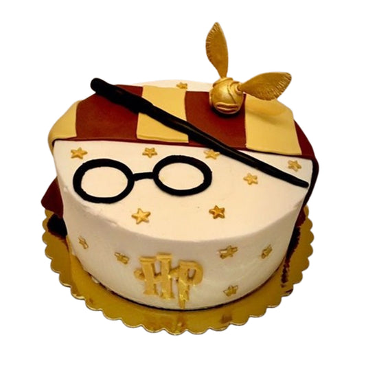 Harry Potter Cake V11