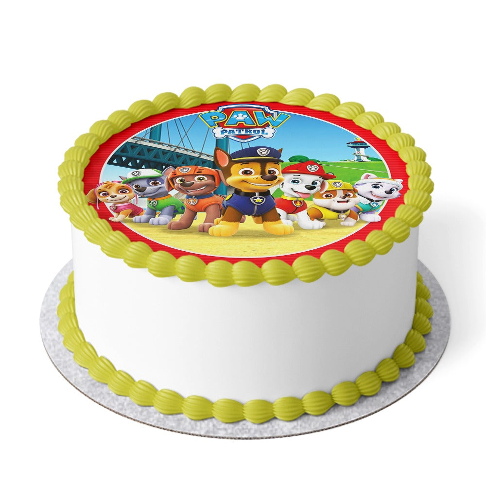 Paw Patrol Cake V18