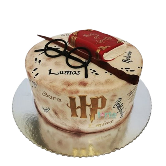 Harry Potter Cake V20