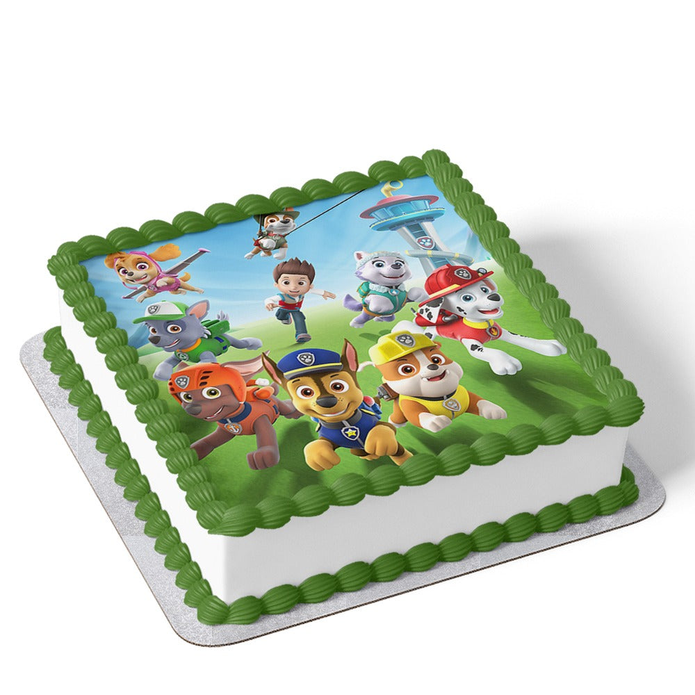 Paw Patrol Cake V20