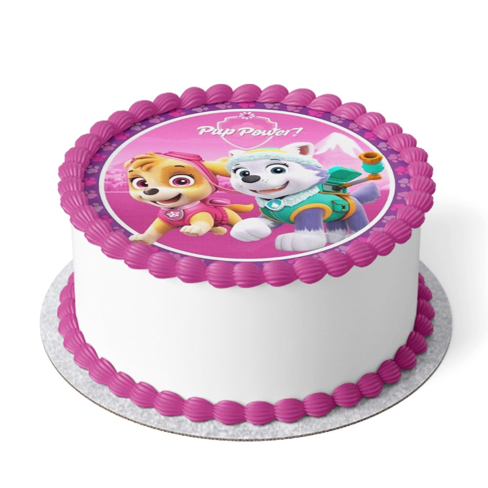 Paw Patrol Cake V29