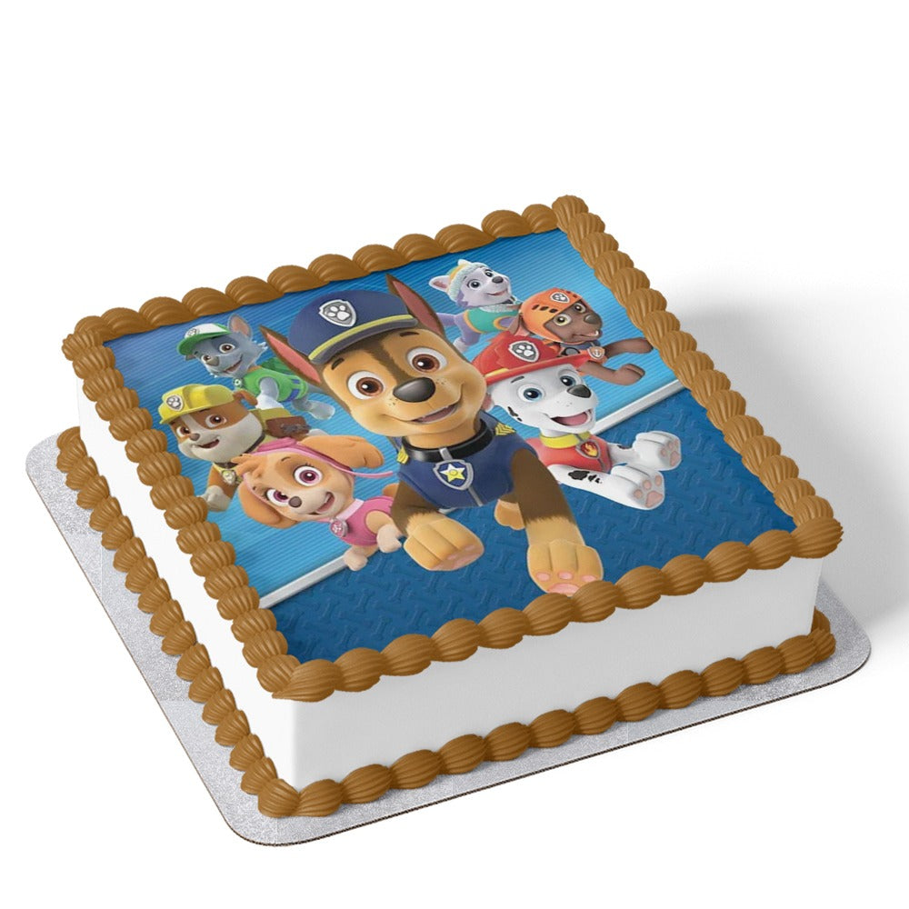 Paw Patrol Cake V7