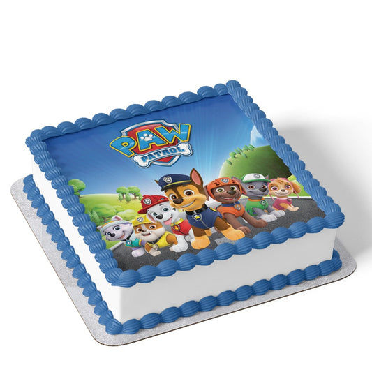 Paw Patrol Cake V8